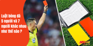 Cần nắm rõ luật bóng đá đối với người chơi cá cược