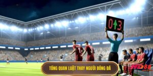 Luật thay người trong bóng đá được quy định rõ ràng